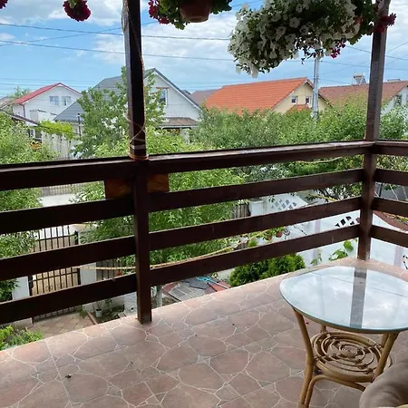 Villa Vila Andrei *