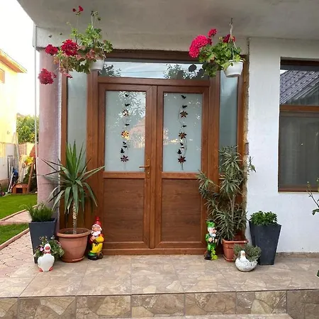 Vila Andrei *